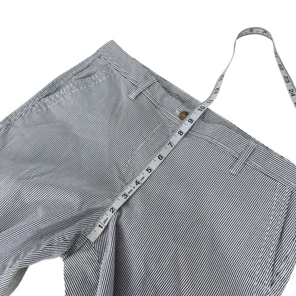 Talbots Petite Women Blue Striped Girlfriend Chino Pant SZ 10P Business Casual - Picture 6 of 10
